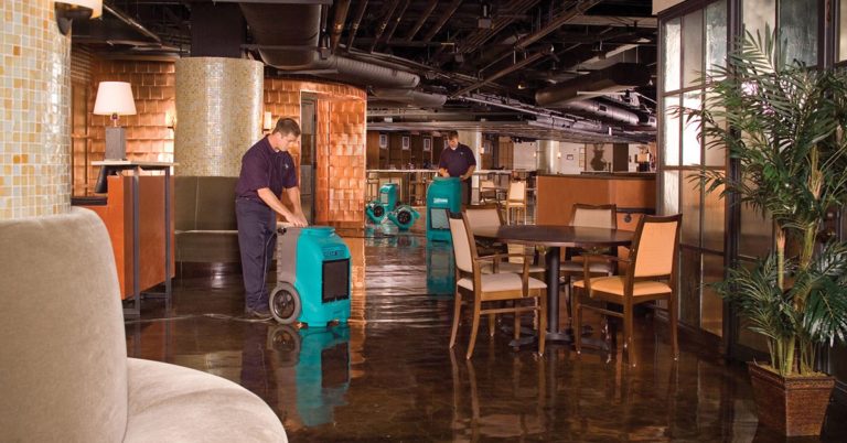 local water damage company Naples, FL